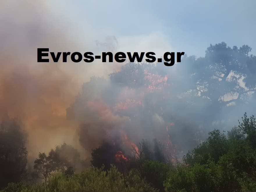 Έβρος: Καλύτερη εικόνα η φωτιά στη Λευκίμη - Σηκώθηκαν ξανά τα ενάερια