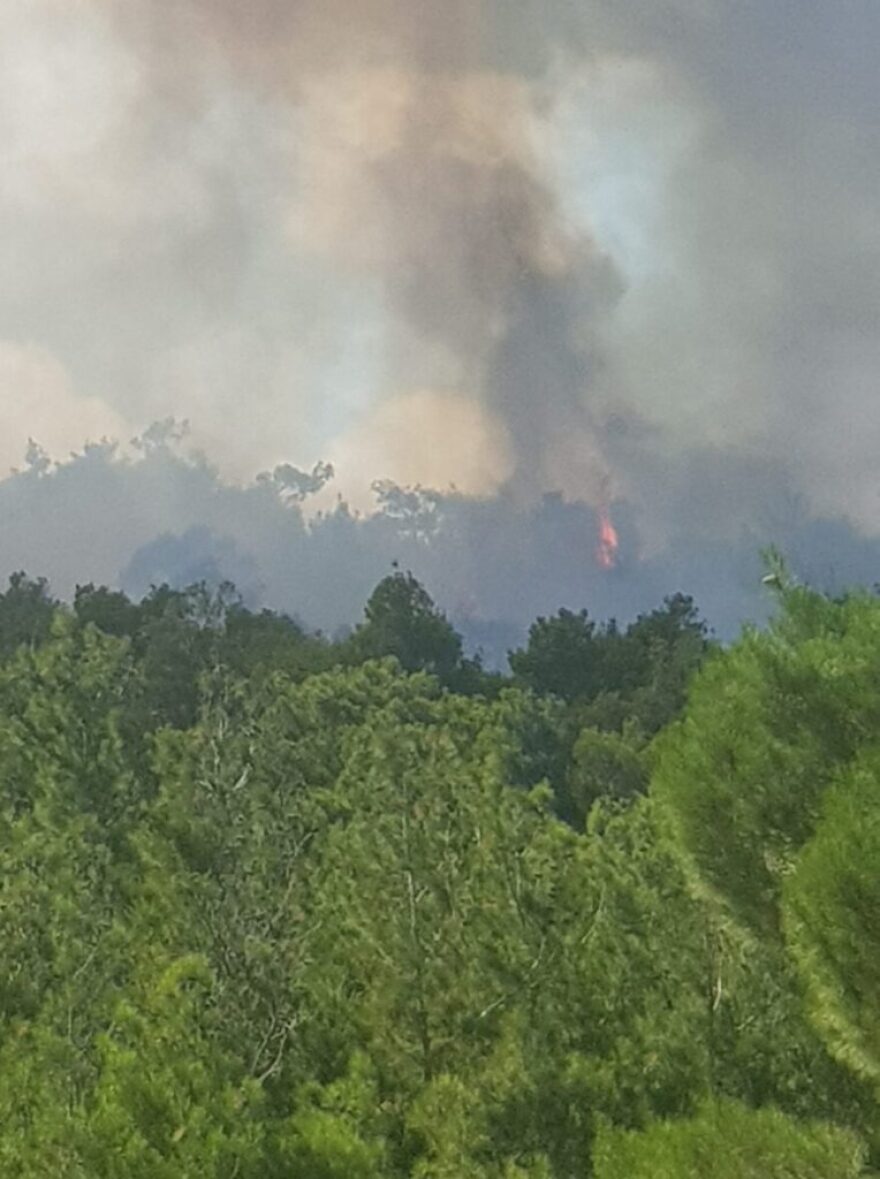 Έβρος: Καλύτερη εικόνα η φωτιά στη Λευκίμη - Σηκώθηκαν ξανά τα ενάερια