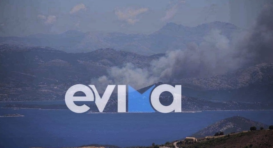 Πολλαπλά πύρινα μέτωπα: Συναγερμός στα Στύρα με μήνυμα στο 112 - Στη μάχη και το ρωσικό θηρίο Beriev