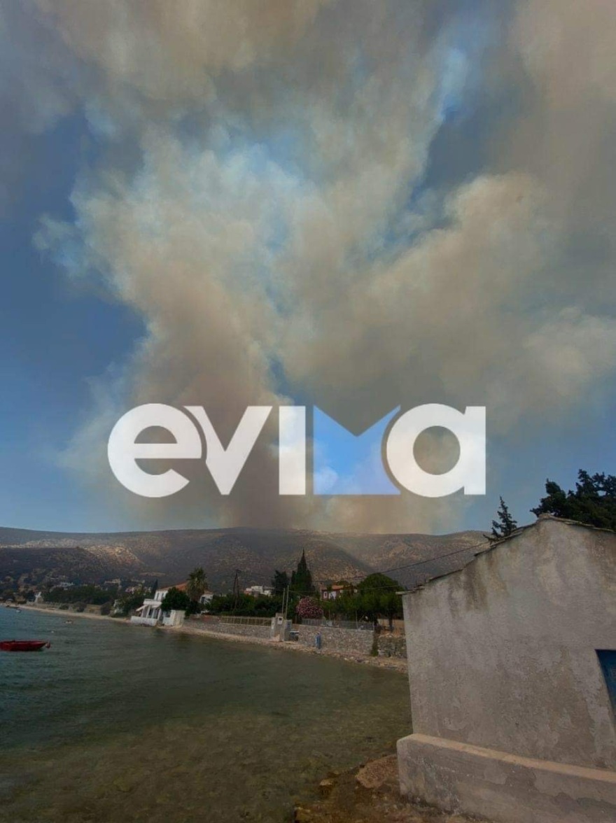 Πολλαπλά πύρινα μέτωπα: Συναγερμός στα Στύρα με μήνυμα στο 112 - Στη μάχη και το ρωσικό θηρίο Beriev