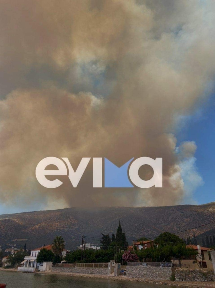 Πολλαπλά πύρινα μέτωπα: Συναγερμός στα Στύρα με μήνυμα στο 112 - Στη μάχη και το ρωσικό θηρίο Beriev