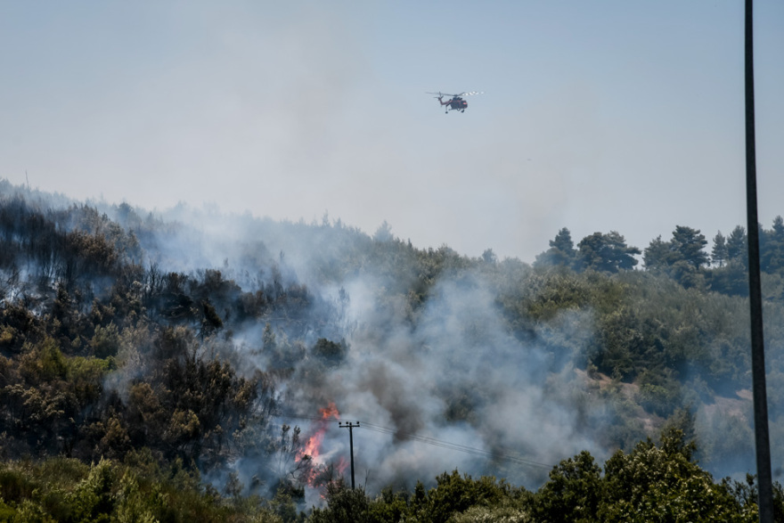 Πολλαπλά πύρινα μέτωπα: Συναγερμός στα Στύρα με μήνυμα στο 112 - Στη μάχη και το ρωσικό θηρίο Beriev