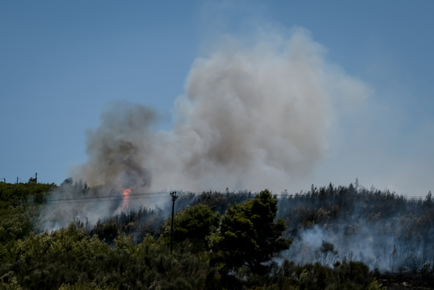 Πολλαπλά πύρινα μέτωπα: Συναγερμός στα Στύρα με μήνυμα στο 112 - Στη μάχη και το ρωσικό θηρίο Beriev