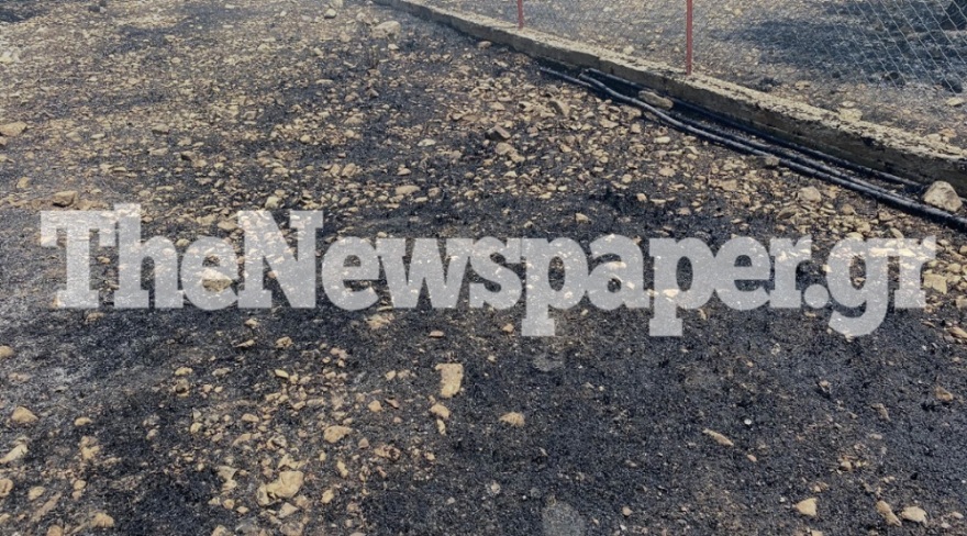 Πολλαπλά πύρινα μέτωπα: Συναγερμός στα Στύρα με μήνυμα στο 112 - Στη μάχη και το ρωσικό θηρίο Beriev