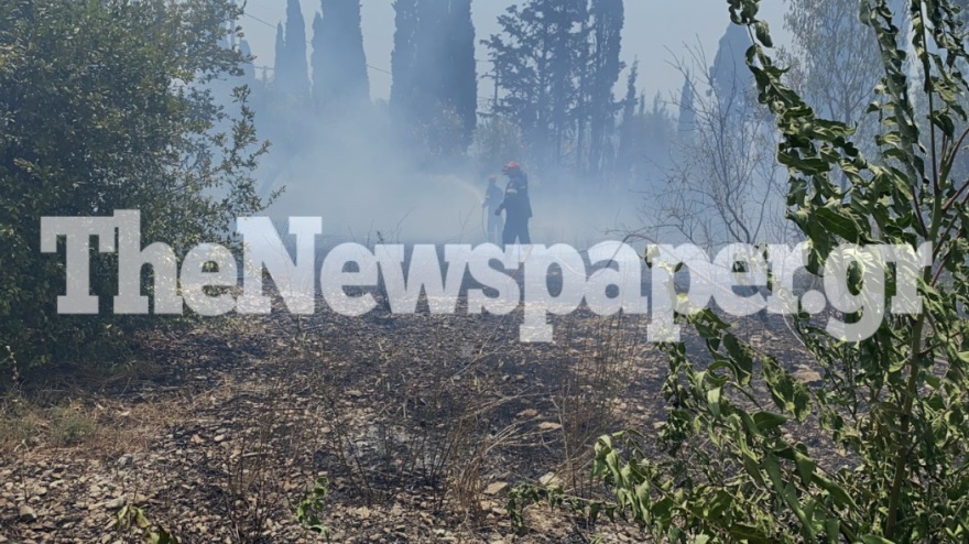 Πολλαπλά πύρινα μέτωπα: Συναγερμός στα Στύρα με μήνυμα στο 112 - Στη μάχη και το ρωσικό θηρίο Beriev