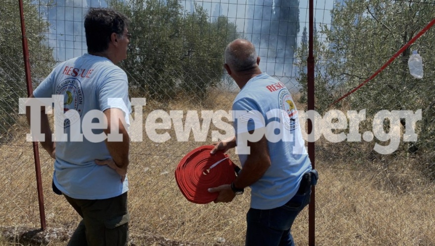 Πολλαπλά πύρινα μέτωπα: Συναγερμός στα Στύρα με μήνυμα στο 112 - Στη μάχη και το ρωσικό θηρίο Beriev