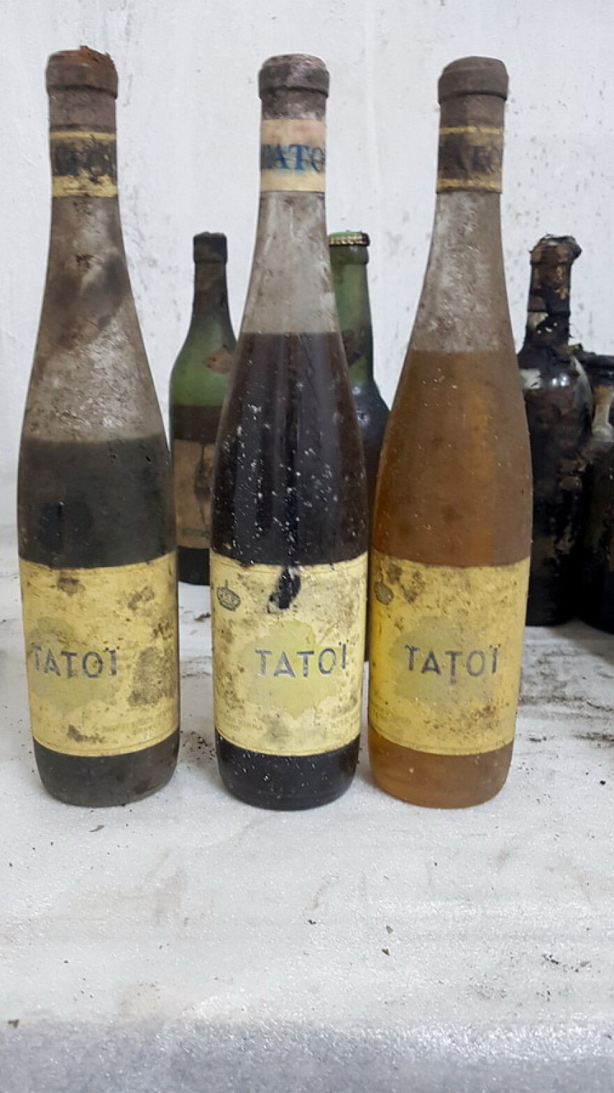 Κτήμα Τατοΐου: Βρέθηκαν 4.000 σπάνιες φιάλες κρασιών και ποτών - Και Chivas για την ενθρόνιση της Ελισάβετ (φωτογραφίες)