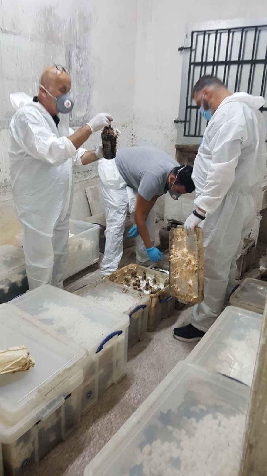 Κτήμα Τατοΐου: Βρέθηκαν 4.000 σπάνιες φιάλες κρασιών και ποτών - Και Chivas για την ενθρόνιση της Ελισάβετ (φωτογραφίες)