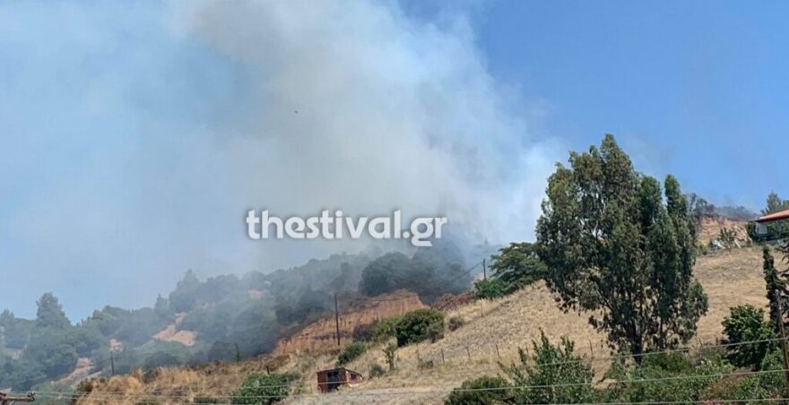 Φωτιά στη Νικήτη Χαλκιδικής