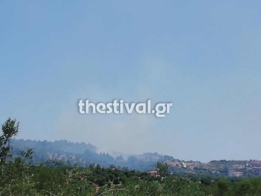 Φωτιά στη Νικήτη Χαλκιδικής