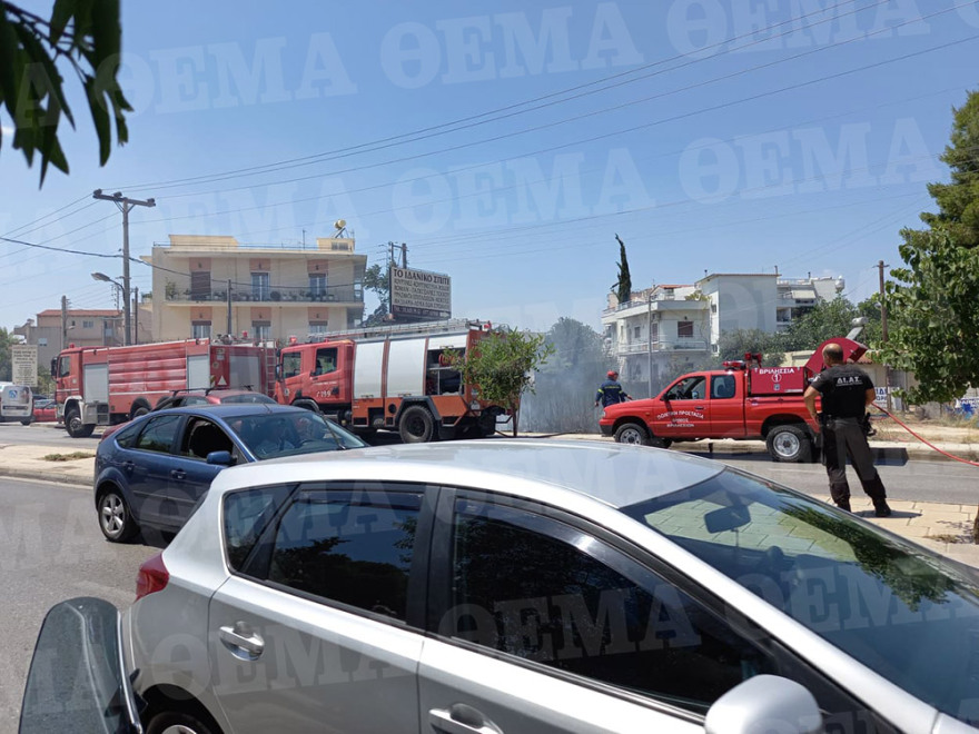 Φωτιά στη Δουκίσσης Πλακεντίας: Ρίψεις από ελικόπτερο - Δείτε βίντεο και φωτογραφίες