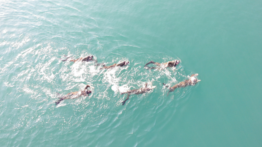 Ένοπλες Δυνάμεις: Εντυπωσιακές εικόνες από τους Διακλαδικούς Στρατιωτικούς Αγώνες