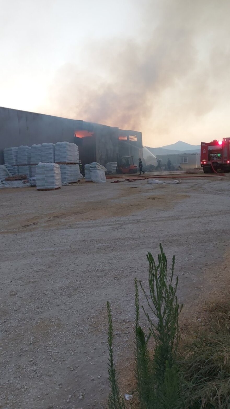 Λάρισα: Φωτιά ξέσπασε σε αποθήκη ζωοτροφών - Φωτογραφίες