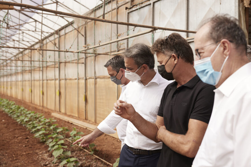 Περιοδεία Μητσοτάκη στην Μεσσηνία: Ο πρωτογενής τομέας, βασικός πυλώνας της εθνικής ανάπτυξης