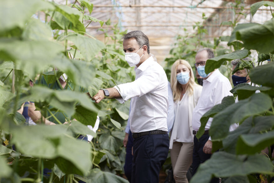 Περιοδεία Μητσοτάκη στην Μεσσηνία: Ο πρωτογενής τομέας, βασικός πυλώνας της εθνικής ανάπτυξης