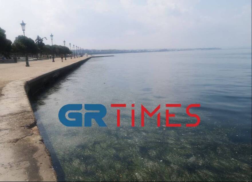 Θεσσαλονίκη: Γέμισε φύκια και σκουπίδια ο Θερμαϊκός – Δείτε βίντεο