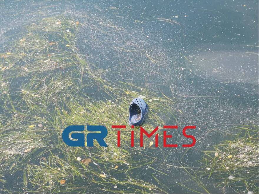 Θεσσαλονίκη: Γέμισε φύκια και σκουπίδια ο Θερμαϊκός – Δείτε βίντεο