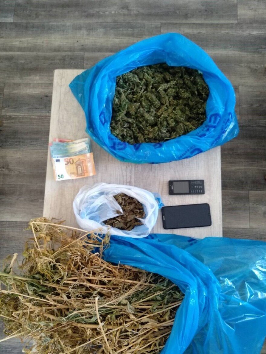 Πάτρα: Καλλιεργούσαν χασισοφυτεία με 110 δενδρύλλια ύψους έως 4 μέτρων! - Φωτογραφίες