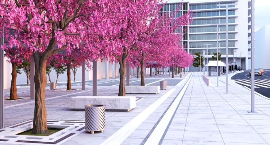 Σύνταγμα: Τι αλλάζει στην καθημερινότητα των πολιτών η πράσινη ανάπλαση της κάτω πλευράς της πλατείας