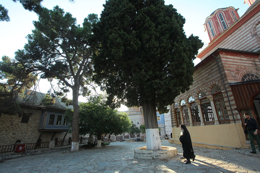 Στα άδυτα του Αγίου Όρους: Η σωτηρία του Εφραίμ, η διχόνοια και η Ουκρανή γιατρός