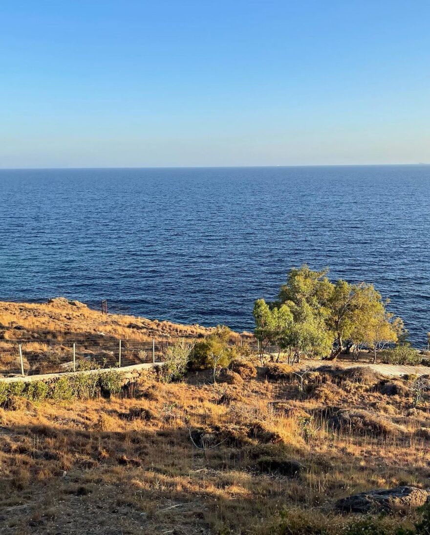 Τόνια Σωτηροπούλου - Κωστής Μαραβέγιας: Το άλμπουμ των διακοπών τους