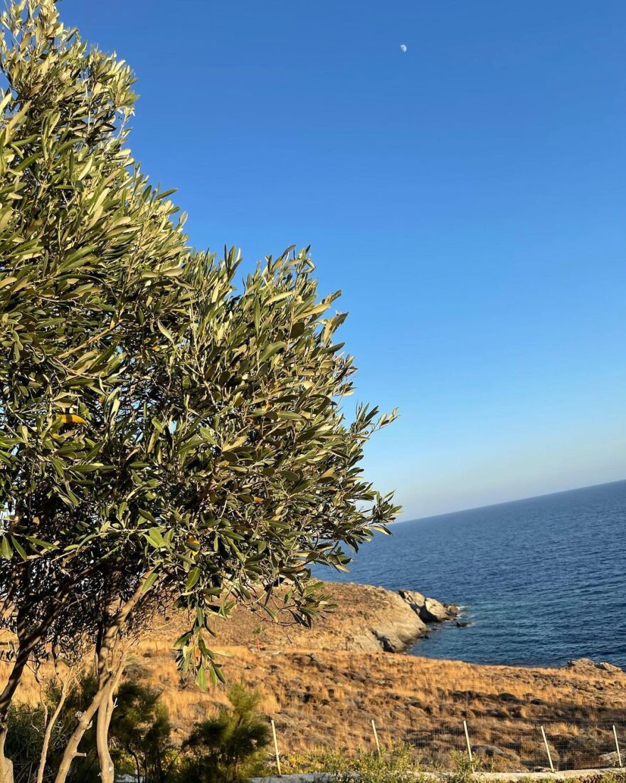 Τόνια Σωτηροπούλου - Κωστής Μαραβέγιας: Το άλμπουμ των διακοπών τους