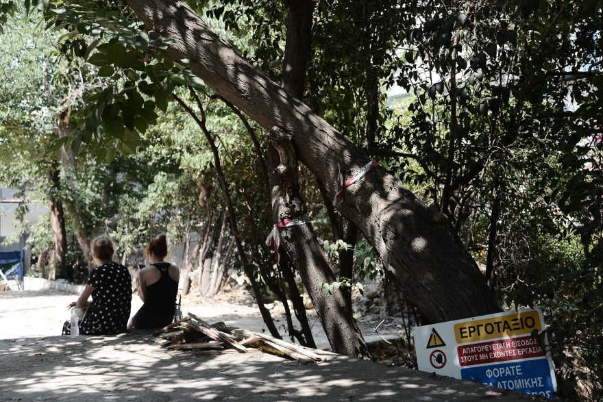 Κυψέλη: Διαμαρτυρία κατοίκων κατά της κοπής δέντρων για τη δημιουργία προσχολικων δομών