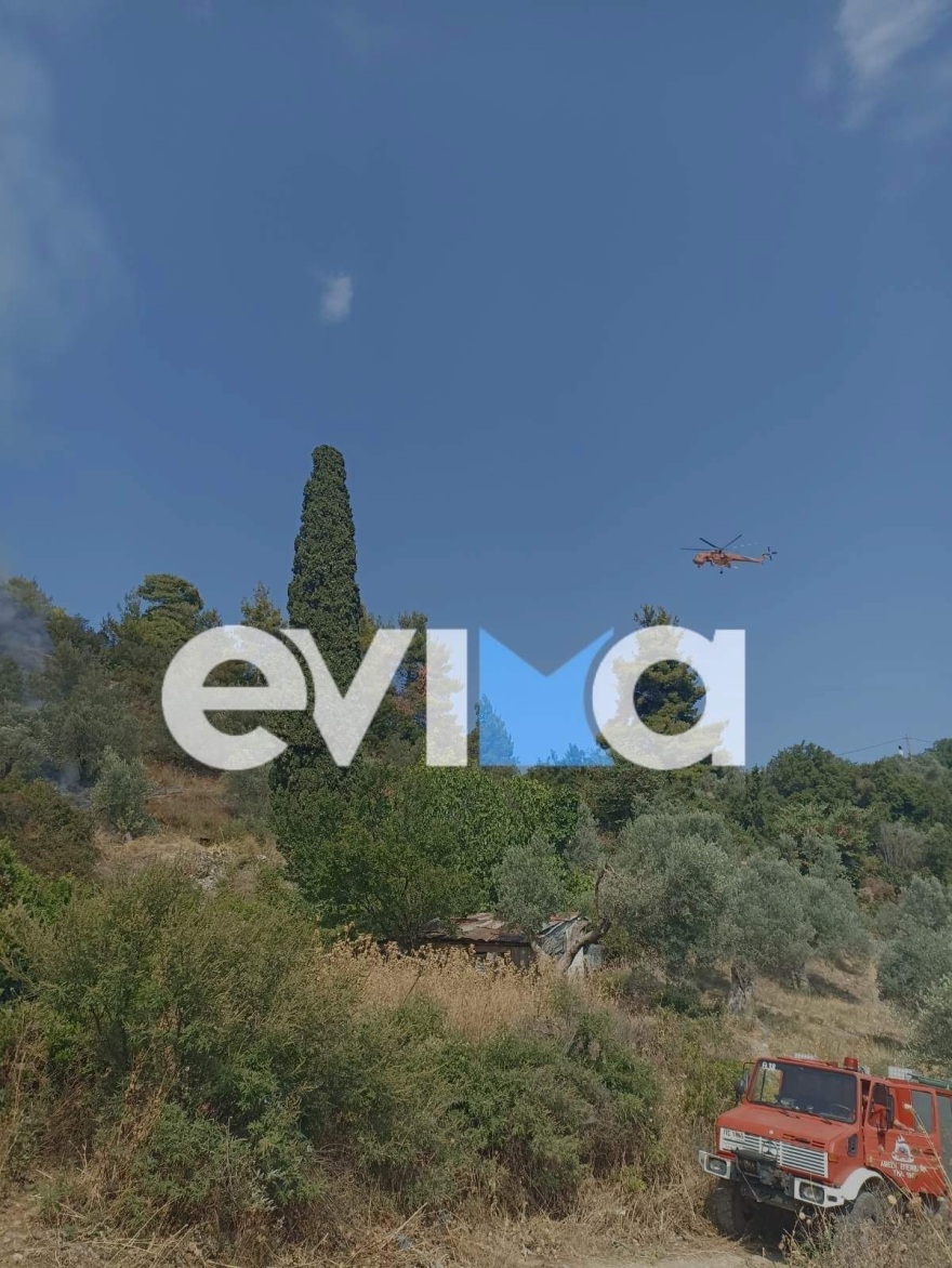 Υπό μερικό έλεγχο η φωτιά στη Λίμνη Ευβοίας
