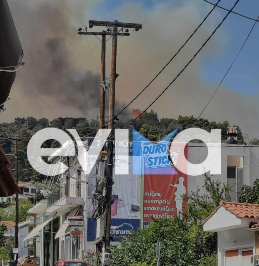 Υπό μερικό έλεγχο η φωτιά στη Λίμνη Ευβοίας
