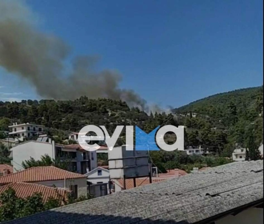 Υπό μερικό έλεγχο η φωτιά στη Λίμνη Ευβοίας