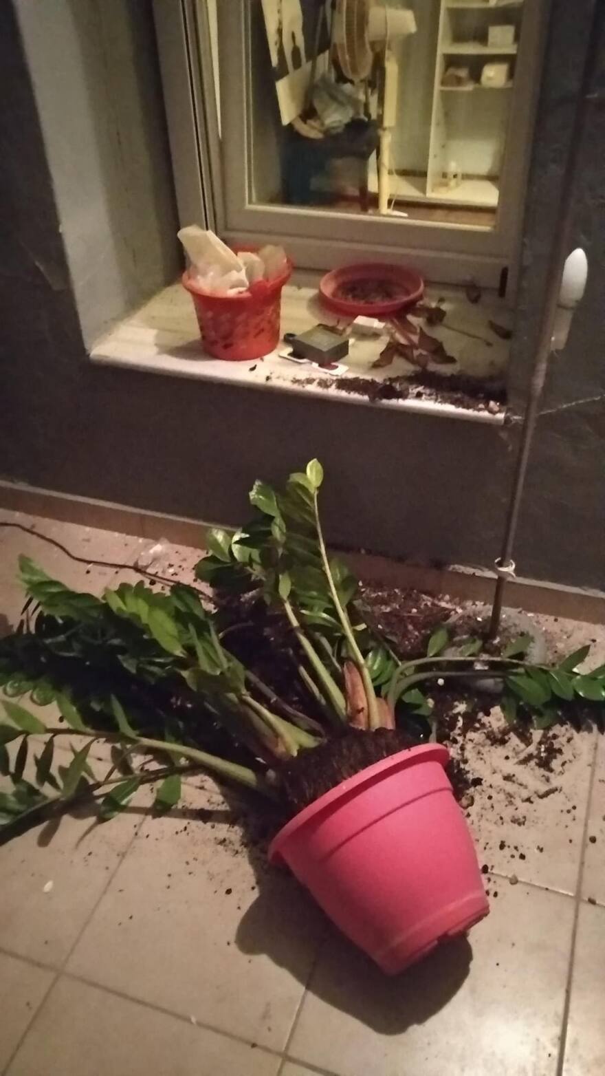 Σεισμός 4,8 Ρίχτερ στο Ηράκλειο - Τι λένε οι σεισμολόγοι 