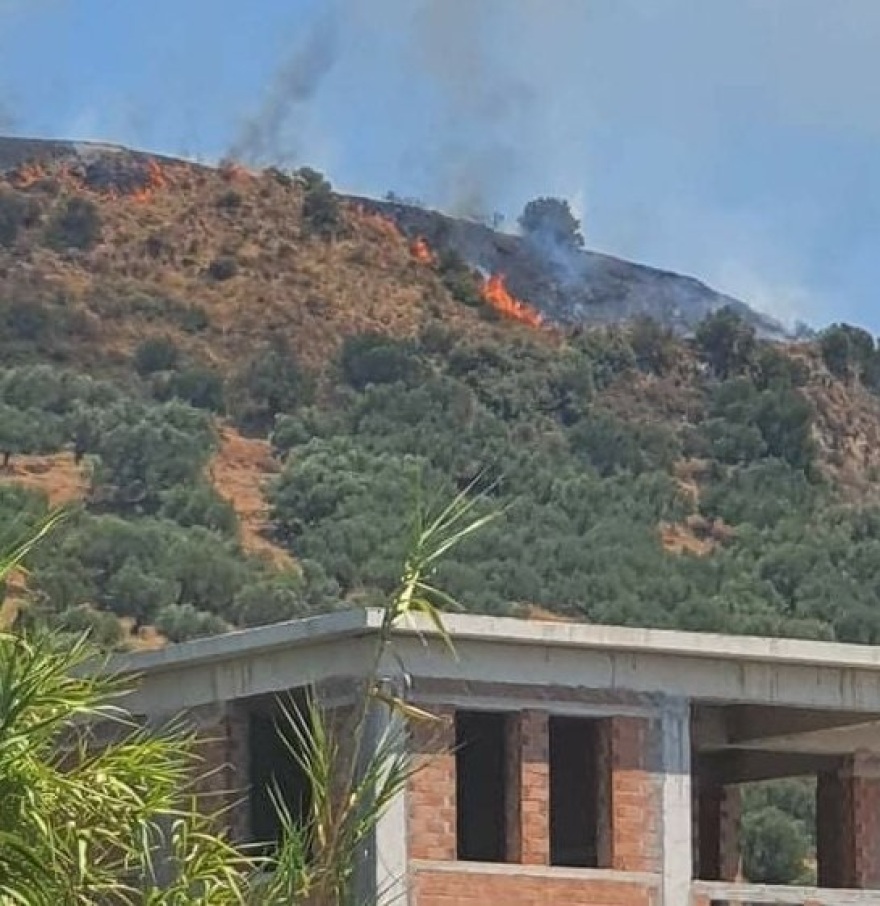 Συνεχίζεται η μάχη με τη φωτιά στο Αραχναίο Αργολίδας - Δείτε βίντεο και φωτογραφίες