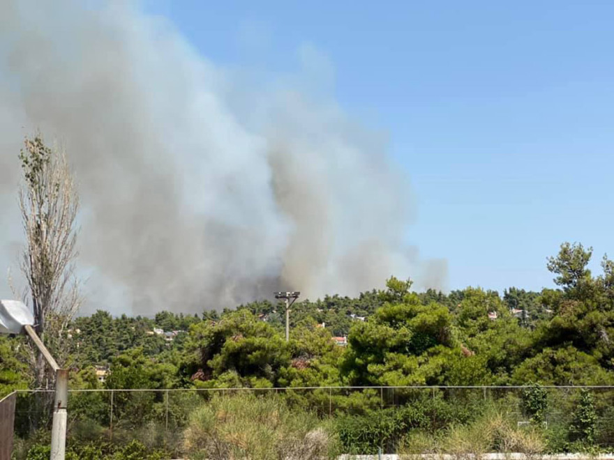 Φωτιά στη Σταμάτα: Είκοσι σπίτια καμένα ή με μεγάλες ζημιές 
