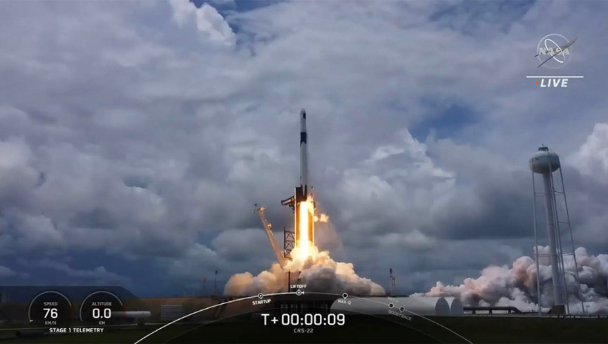 Ελιές από την Αρχαία Ολυμπία ταξίδεψαν στο διάστημα