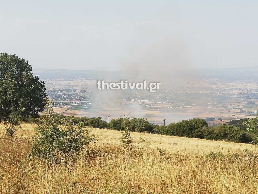 Υπό έλεγχο η φωτιά στο Φίλυρο Θεσσαλονίκης 