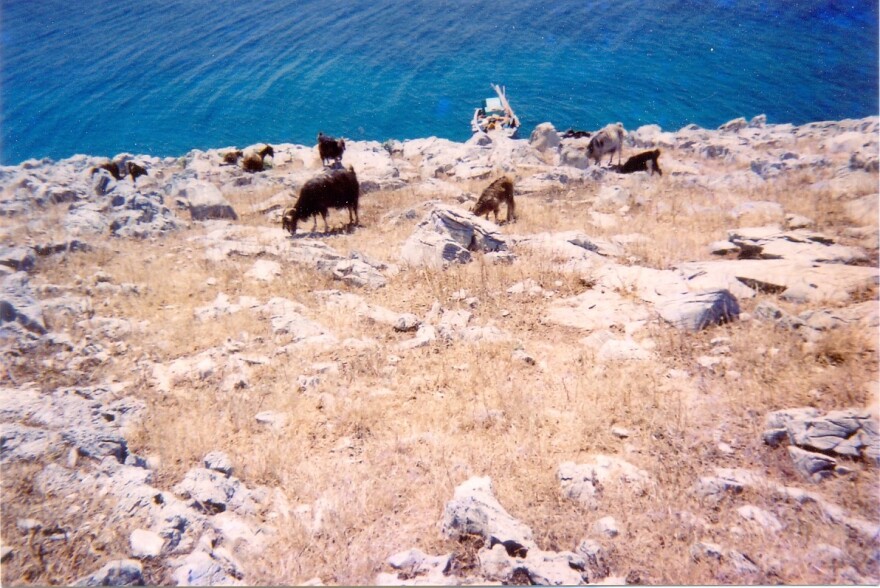 Πρόστιμο 50.000 ευρώ στον δήμαρχο Καλύμνου επειδή πλήρωνε τα καύσιμα του «βοσκού των Ιμίων»!