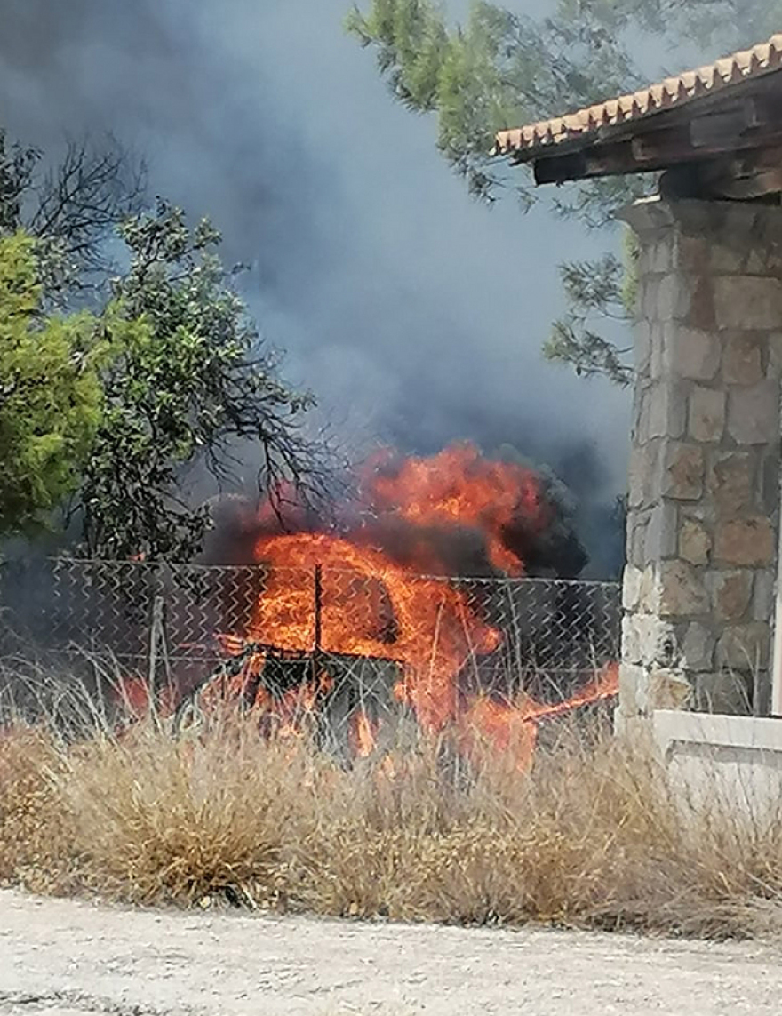 Φωτιά και στην Ερμιονίδα Αργολίδας - Δείτε φωτογραφίες