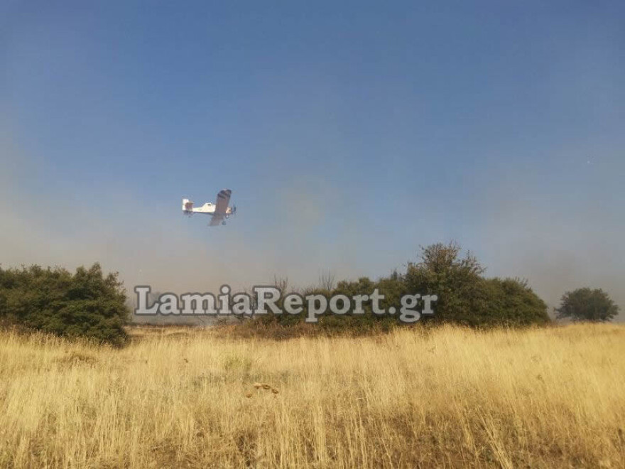 Λαμία: Συναγερμός για πυρκαγιά πάνω από τα Καλύβια 