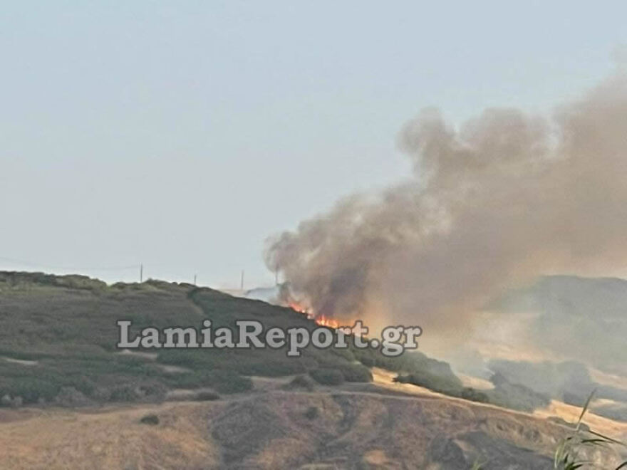 Λαμία: Συναγερμός για πυρκαγιά πάνω από τα Καλύβια 