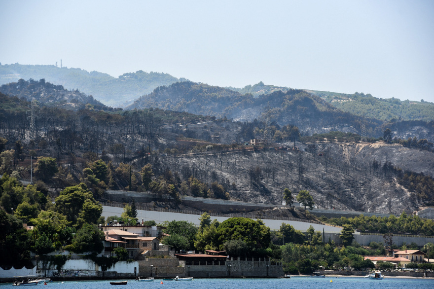 Φωτιά στην Αχαΐα: Εικόνα καταστροφής - Ανυπολόγιστες ζημιές σε σπίτια και καλλιέργειες (φωτογραφίες και βίντεο)