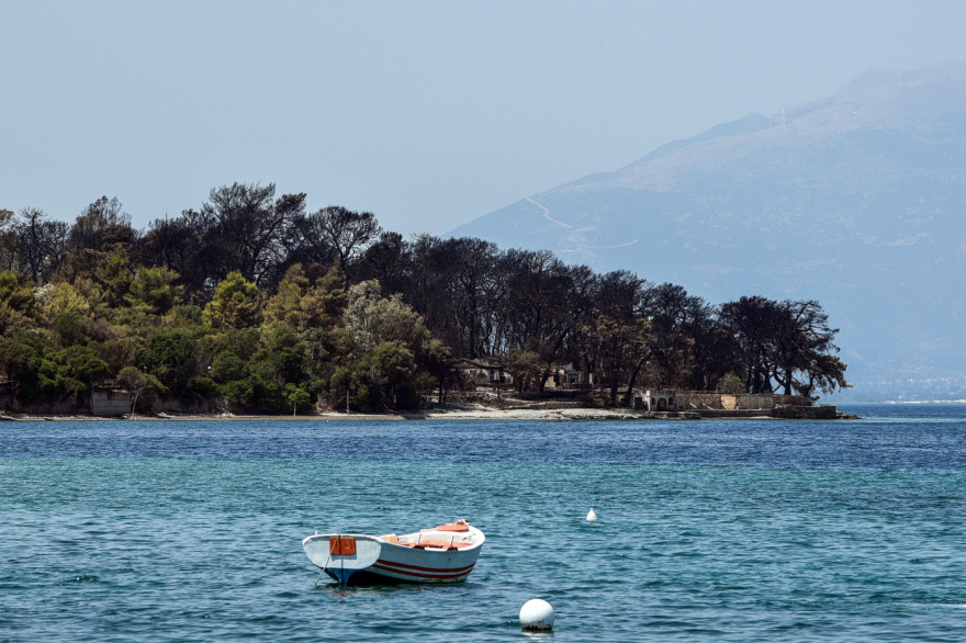 Φωτιά στην Αχαΐα: Εικόνα καταστροφής - Ανυπολόγιστες ζημιές σε σπίτια και καλλιέργειες (φωτογραφίες και βίντεο)