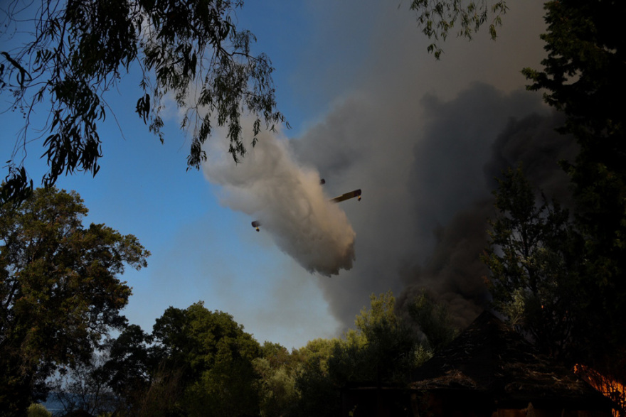 Φωτιά στην Αχαΐα: Εικόνα καταστροφής - Ανυπολόγιστες ζημιές σε σπίτια και καλλιέργειες (φωτογραφίες και βίντεο)