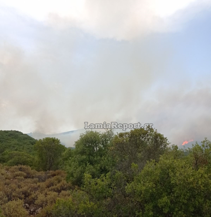Φωτιά στη Φθιώτιδα: Ολονύχτια μάχη με τις αναζωπυρώσεις στο Λογγίτσι
