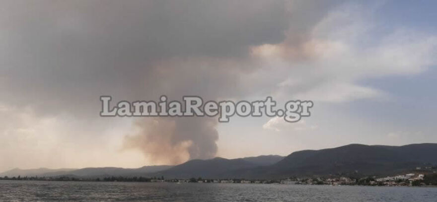 Φωτιά στη Φθιώτιδα: Ολονύχτια μάχη με τις αναζωπυρώσεις στο Λογγίτσι