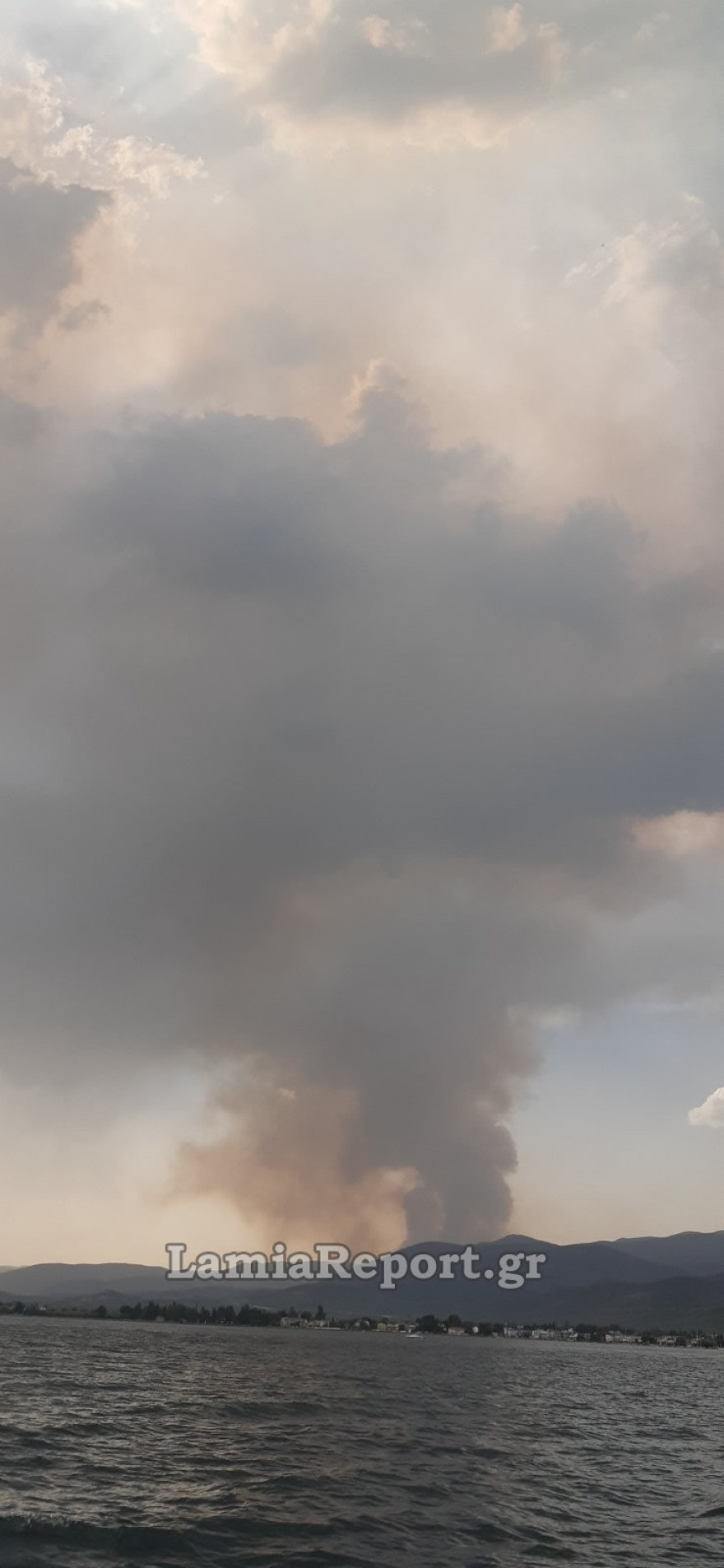 Φωτιά στη Φθιώτιδα: Ολονύχτια μάχη με τις αναζωπυρώσεις στο Λογγίτσι