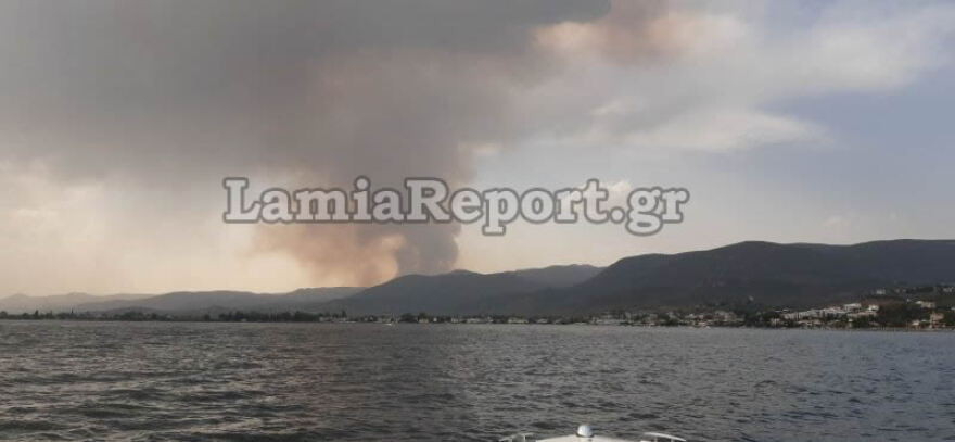 Φωτιά στη Φθιώτιδα: Ολονύχτια μάχη με τις αναζωπυρώσεις στο Λογγίτσι