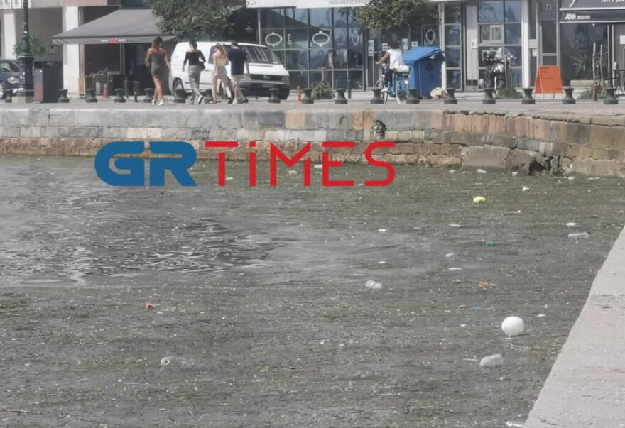 Θεσσαλονίκη: Με νεκρά πτηνά, σκουπίδια και φύκια ξανά ο Θερμαϊκός - Βίντεο και φωτογραφίες