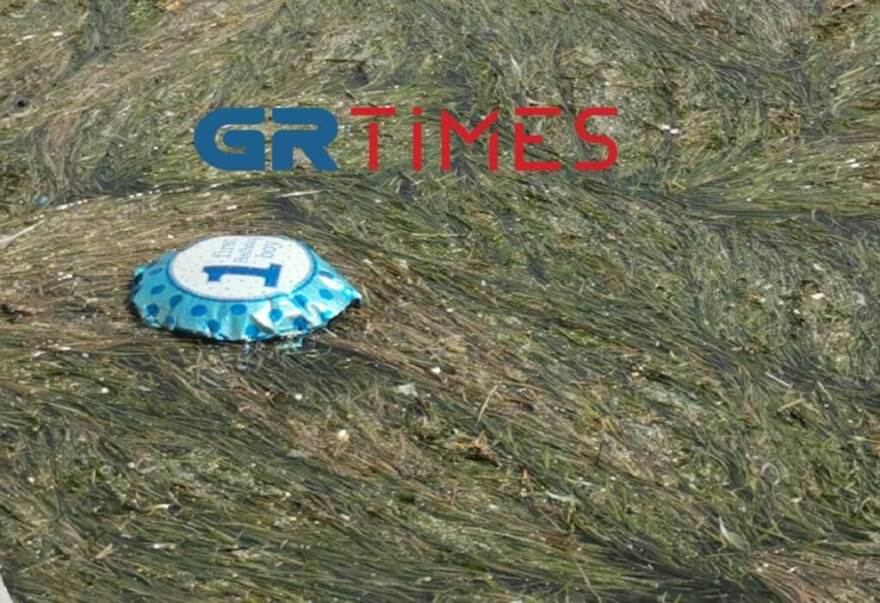 Θεσσαλονίκη: Με νεκρά πτηνά, σκουπίδια και φύκια ξανά ο Θερμαϊκός - Βίντεο και φωτογραφίες