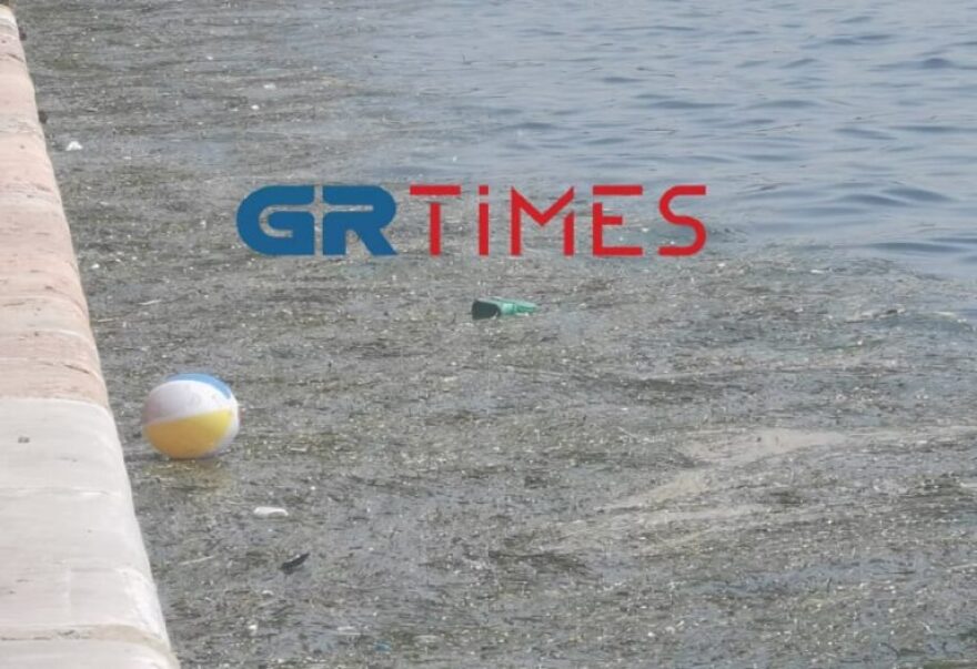 Θεσσαλονίκη: Με νεκρά πτηνά, σκουπίδια και φύκια ξανά ο Θερμαϊκός - Βίντεο και φωτογραφίες