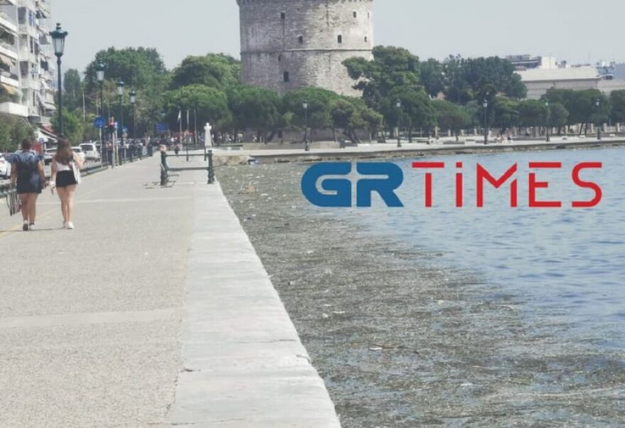 Θεσσαλονίκη: Με νεκρά πτηνά, σκουπίδια και φύκια ξανά ο Θερμαϊκός - Βίντεο και φωτογραφίες